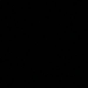 Meet your Posher, Jazmin